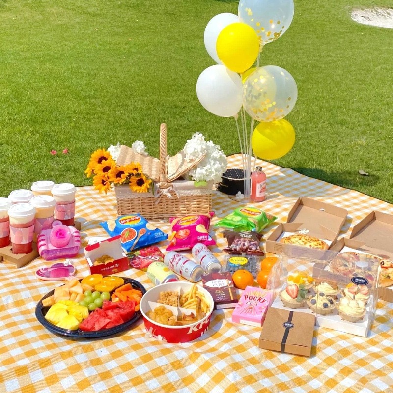200x200cm Extra Large Picnic M - Outdoor Camping Mat Waterproof ulasan dan harga