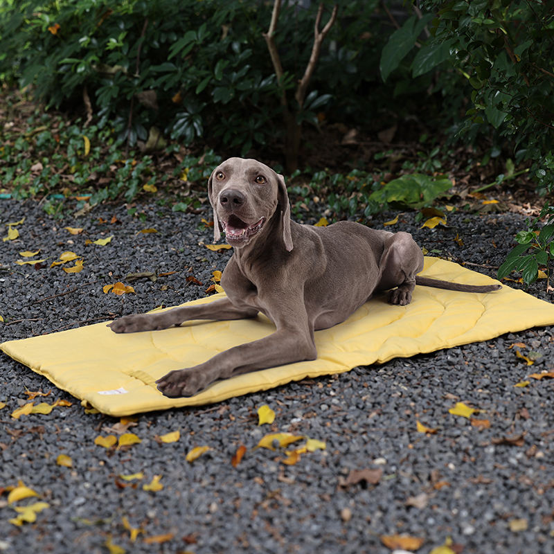 Portable Pet Mat Foldable Pet  - Outdoor Camping Mat Waterproof ulasan dan harga