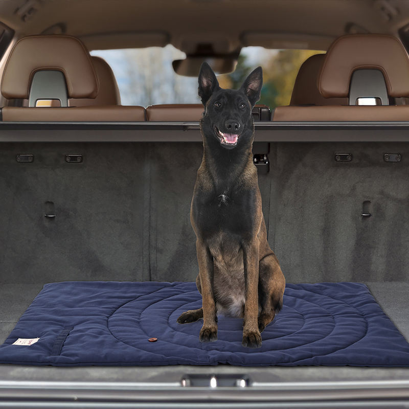 Portable Pet Mat Foldable Pet  - Outdoor Camping Mat Waterproof ulasan dan harga