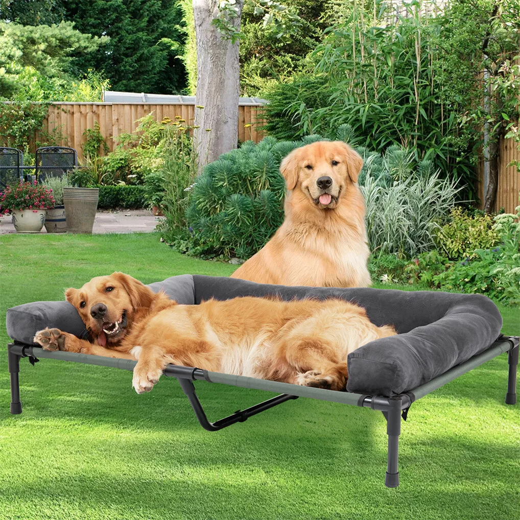 BINGOPAW Outdoor Dog Bed Eleva - Outdoor Camping Cot ulasan dan harga