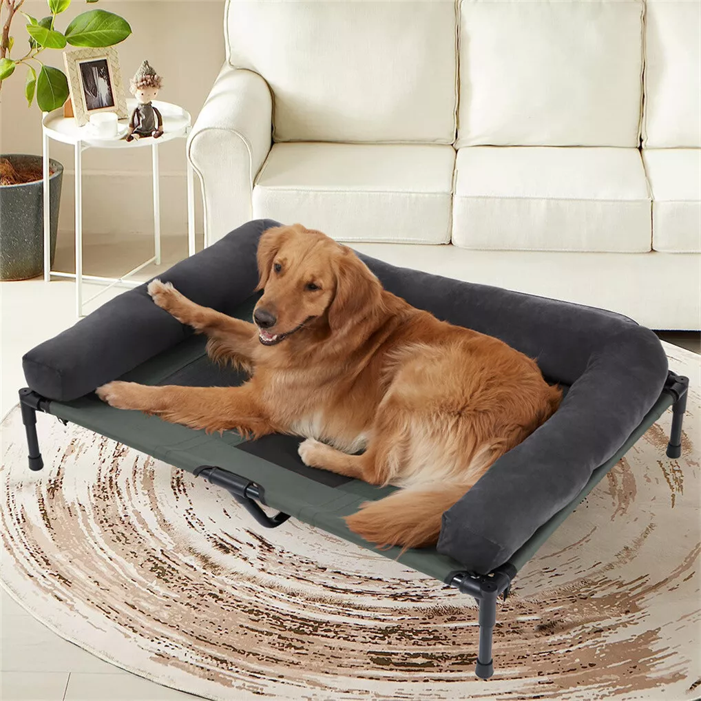BINGOPAW Outdoor Dog Bed Eleva - Outdoor Camping Cot ulasan dan harga