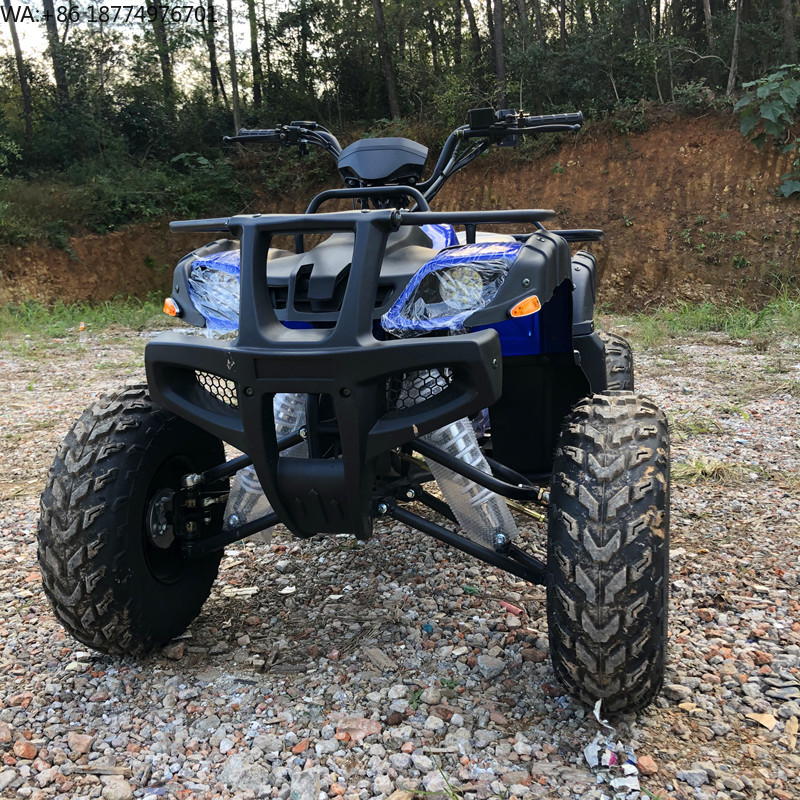 Electric 4 Seater 4WD 4-Stroke - Camping Quad ulasan dan harga
