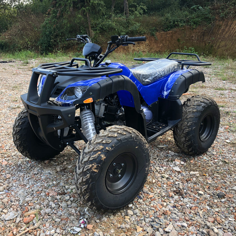 Electric 4 Seater 4WD 4-Stroke - Camping Quad ulasan dan harga